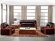 ���y��Ƥɳ�l CG-CTZPSF-03