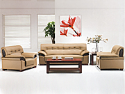 ���y��Ƥɳ�l CG-CTZPSF-21