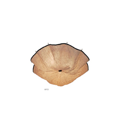 FLOS Celestia Ceiling Lamp ����㲼ˇ��픟� CGX697