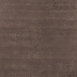 Asia rug CG-DT1033