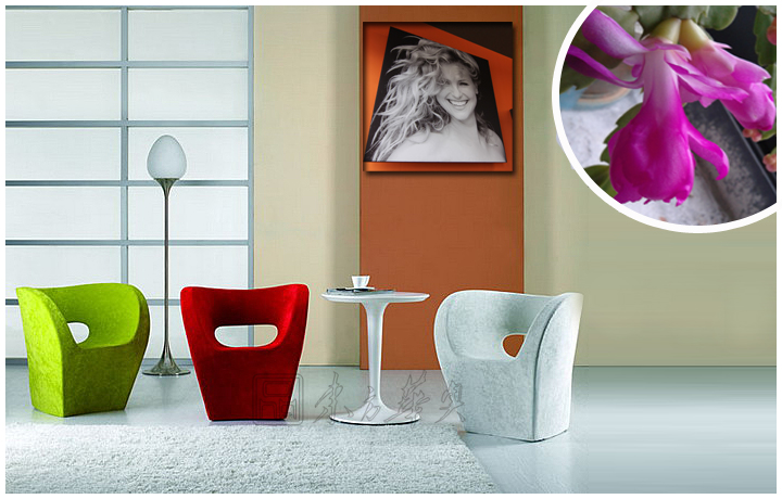 �F���������e��|�������e��|�k���Ҿ�|С����ؐ����|���e�Σ��������e�Σ��OӋ���Σ���͏d�Σ��ư���