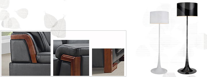 �F(xi��n)����Ƥɳ�l(f��)